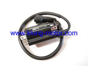 Ignition Coil for Joyner 250 sandviper buggy parts, CFMOTO 172 fashion engine parts, GK06 engine parts, Goka 250 engine parts, CFMOTO 250 Engine parts