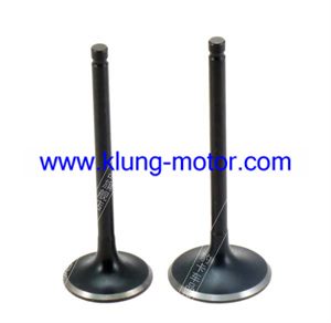 Air vavle ,intake ,exhaust valve for cfmoto 250, goka 250, GK06 engine parts, CFMOTO 172 fashion engine parts, Joyne 250 sandviper engine parts （1PCS）