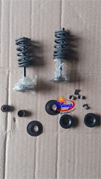 cfmoto 250cc 172 air valve spring kit for goka,renli,joyner,kinroad,roketa,bms 250 engine parts (one set )