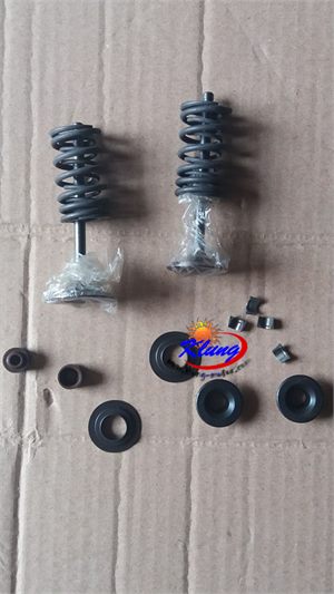 cfmoto 250cc 172 air valve spring kit for goka,renli,joyner,kinroad,roketa,bms 250 engine parts (one set )