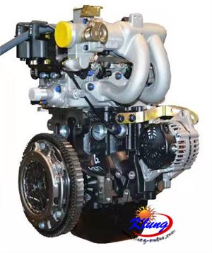 600cc two cylinder 26kw 52N.m engine for Joyner GOKA NANYI buggy go kart .