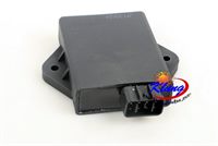 300cc 1P73MN engine CDI for XY300UE Bode vehicle MC-152 Trail rover Scout 500TX trailmaster charllenge buggy go kart utv.