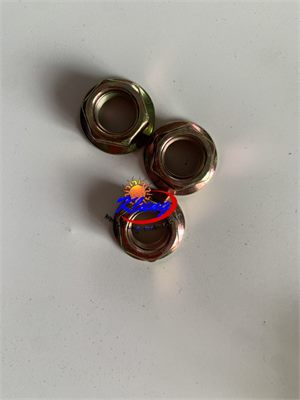 Klung 200cc  M12x1.25 Nut for Xinyang XY200UE buggy go kart UTV