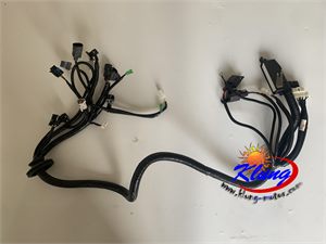 Klung 600cc 272 chery engine wire harness for bms chery bomb jianshe buggy,go kart, utv