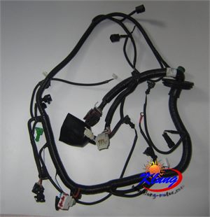 800cc fuel injection engine harness for goka kinroad roketa bms  buggy go kart utv  (small head ECU)