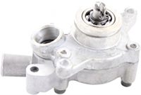 300cc 1P73MN engine water pump for Bode vehicle MC-152 Trail rover Scout 500TX XY300UE trailmaster charllenge go kart buggy utv