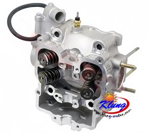CF500 cylinder head assembly for cf188 xinyang,renli,CFMOTO,Chironex buggy ,go kart, utv
