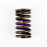Huaihai  800cc carburetor engine valve spring for goka ,huaihai, roket,kazuma 2x4 buggies ,go karts